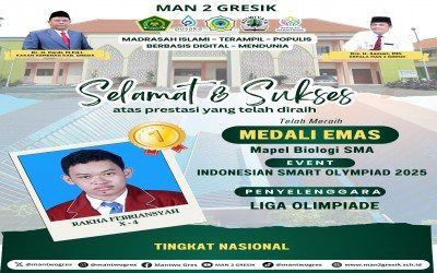 Rakha Febriansyah Raih Medali Emas di Indonesian Smart Olympiad 2025
